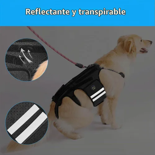 Vista 5 de Coodeo Soporte de espalda para perros para artritis, soporte de espalda para mascotas para IVDD, protector de espalda ayuda a aliviar el dolor Negro