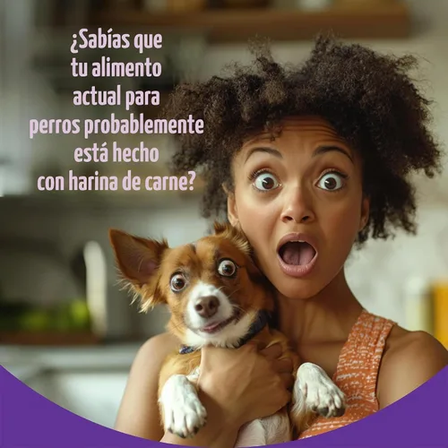 Vista 3 de Halo Holistic - Alimento seco para perros, receta vegana a base de plantas, algas, 3.5 libras