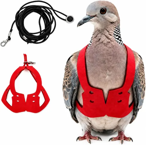 Vista 14 de Juego de arnés ajustable y correa para pájaros pequeños, apto para periquitos, conures, cacatúas, mejillas verdes, loros cuáqueros (verde, XS) 6350-6