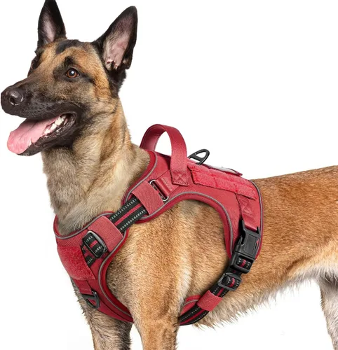 Vista 38 de rabbitgoo - Arnés para perros pequeño sin tirones, chaleco táctico de servicio con Molle y asa de control, arnés militar ajustable y reflectante