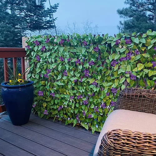 Vista 6 de Protección de privacidad de valla expandible para balcón y patio al aire libre, panel decorativo de valla de hiedra sintética, setos artificiales
