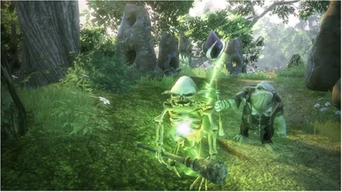Vista 12 de Fable II Limited Collectors Edition