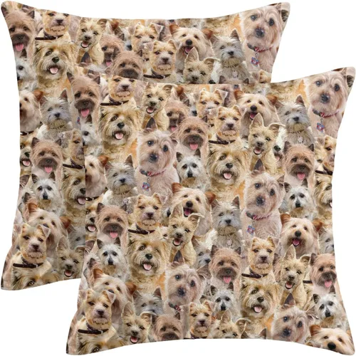 Vista 24 de Regalo para amantes de Airedale Terrier, 2 fundas de almohada de Bingley Terrier, fundas de almohada con estampado de cara de perro, fundas