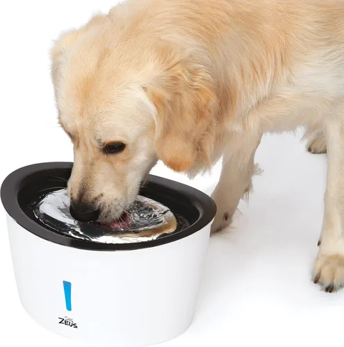 Vista 4 de Zeus Fuente cascada para perros con tapa de acero inoxidable