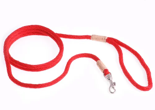 Vista 213 de Alvalley Correa para perros estilo broche – Correa de nailon estilo broche para perros – Fácil de manejar – Perfecto para perros pequeños, medianos