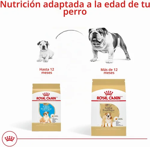 Vista 7 de ROYAL CANIN NUTRICIÓN SANA PARA RAZA bulldog cachorro, alimento seco para perro