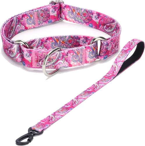 Vista 5 de Collar de perro de nailon resistente, collar ajustable de martingala para perros para caminar y entrenamiento para perros machos y hembras perros