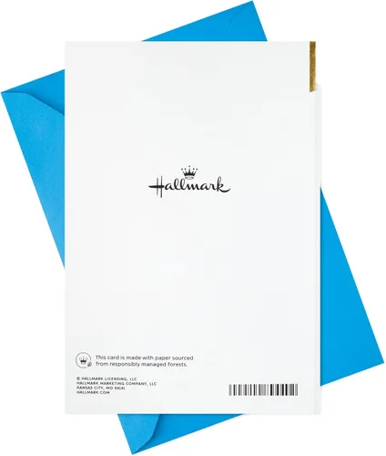 Vista 7 de Hallmark Tarjeta de cumpleaños para hombre (Barbacoa) (5RZB2036)