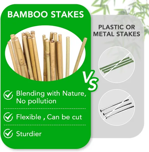 Vista 3 de SWANGSA Paquete de 40 estacas de bambú para plantas de 3 pies, palos de bambú para soporte de plantas, postes de jardín con 200 lazos giratorios