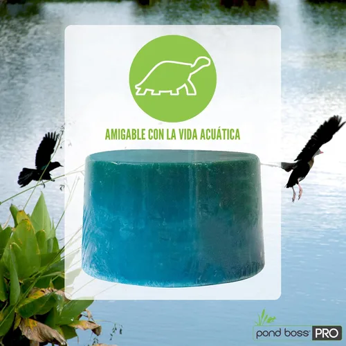 Vista 9 de Pond BOSS Bacterias de bloque CBBPR5 Pro, 5 libras