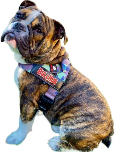 Vista 6 de BULLHUG Arnés Hecho para perros de pecho más grande como bulldogs ingleses, bulldogs franceses, pugs y más. Evita que los perros tiren y se