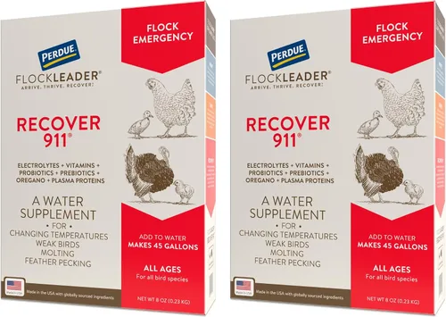 Vista 8 de FlockLeader Recover 911, Suplemento de Agua Probiótico para Estrés Severo para Pollos con Electrolitos, Prebióticos y Orégano, para la Muda, Clima