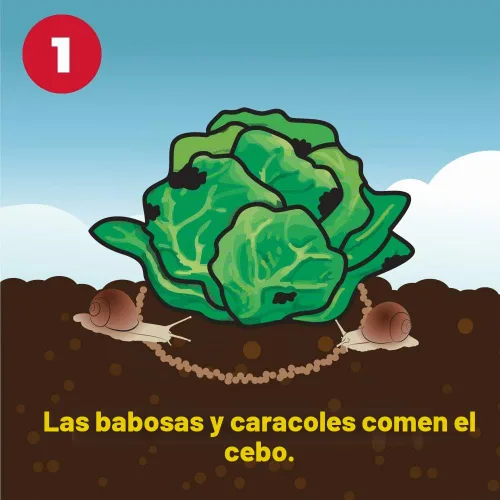 Vista 4 de Corry's Asesino de babosas y caracoles, caja de 1.75 libras