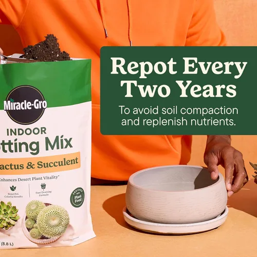 Vista 8 de Miracle-Gro Mezcla para macetas de interior para cactus y suculentas, mezcla para macetas de cactus y suculentas de drenaje rápido con alimentos