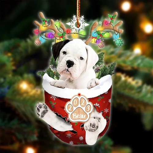 Vista 118 de NAZENTI Adorno Navideño de Bolsillo Personalizado de Affenpinscher en la Nieve, Adorno de Forma Acrílica de Perro, Adorno de Navidad 2023, Adorno