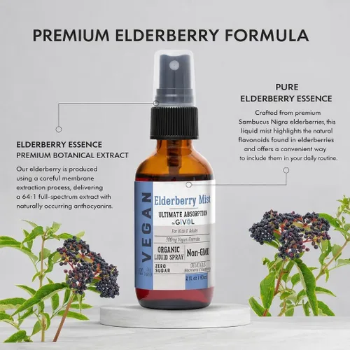 Vista 2 de Extracto líquido orgánico de saúco (Sambucus Nigra) - Fórmula líquida de calidad para niños y adultos - altos niveles de flavonoides, fácil
