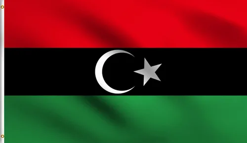 Vista 5 de DMSE - Bandera nacional beninesa beninesa de la República de África Occidental, 2 x 3 pies, 100 % poliéster, 100 % poliéster, resistente a los rayos