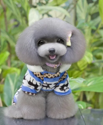 Vista 2 de enterito suave casual para perro, abrigo para perro con capucha chamarra cómoda para perros, ropa para perro, Azul