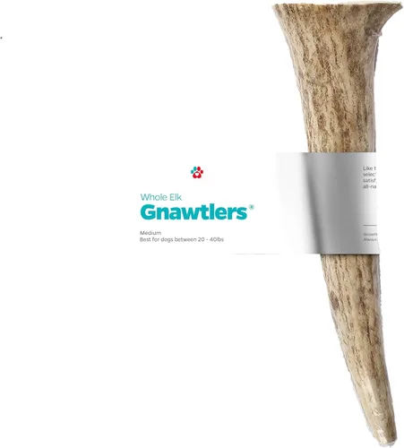 Vista 13 de Gnawtlers - Cornamenta de alce de primera calidad para perros, cuernos desprendidos naturalmente, para masticar, especialmente seleccionada