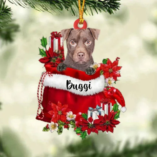 Vista 59 de Perro Akita Inu personalizado en bolsa de regalo, adorno de Navidad, nombre personalizado, regalo para amantes de los perros, familia, Navidad