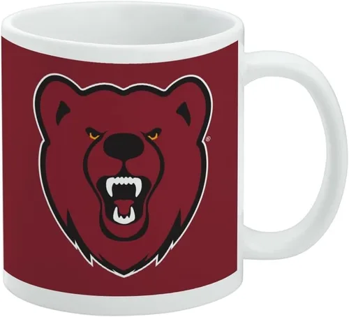 Vista 87 de Taza de cerámica con el logotipo principal de la Universidad Rider, taza de regalo novedosa para café, té y bebidas calientes, 11oz, blanca