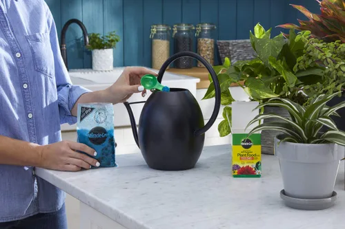 Vista 5 de Miracle-Gro Alimento vegetal soluble en agua, 8 onzas (paquete de 12)