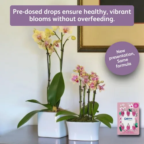 Vista 3 de Chrysal Gotas de Alimento para Orquídeas — Cuidado de Orquídeas — Un Paquete para un Suministro de un Año — Alimento Floral Concentrado para Todas