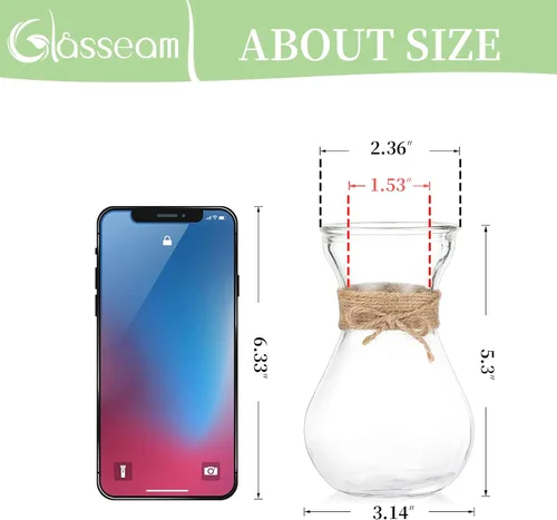 Vista 4 de Glasseam Jarrón de cristal transparente para flores, juego de 3 jarrones de bombilla para forzar bulbos de jacinto, pequeños jarrones decorativos