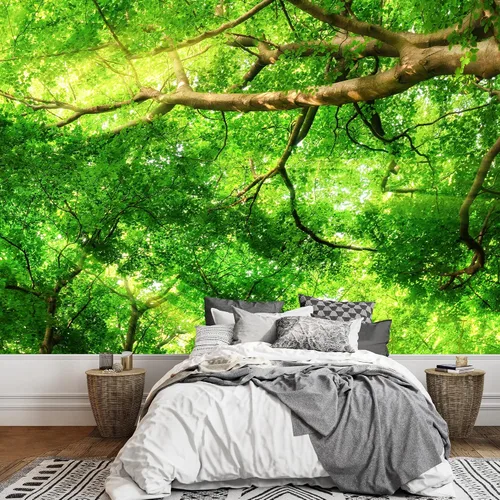 Vista 16 de wall26 serie Wall Mural Papel de empapelar autoadhesivo, grande., WMR-WP-X-D986-66x24x4