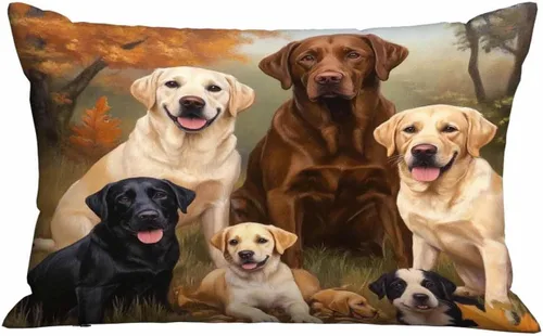 Vista 16 de Mugod Funda de almohada rectangular con purpurina dorada, cita motivacional, Hello Beautiful, funda de cojín decorativa para sofá de 20 x 30 pulgadas
