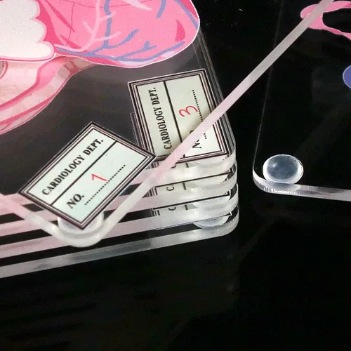 Vista 2 de Juego de 6 posavasos anatómicos con forma de corazón para médico