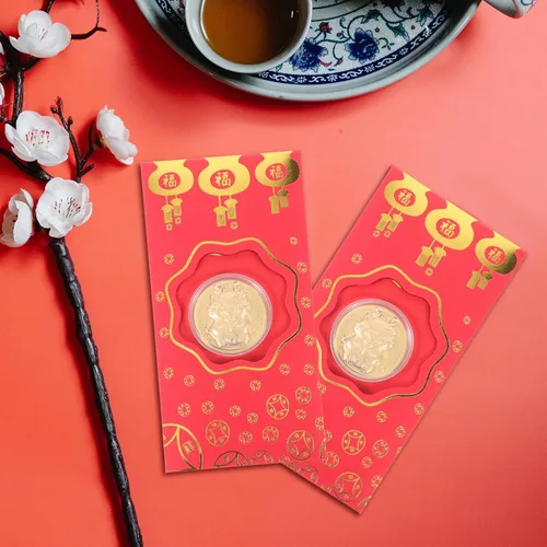 Vista 7 de EXCEART Sobre rojo, 10 unidades de paquetes de dinero rojo chino 2024 con moneda dorada, dragón del zodiaco chino, año nuevo, lunar, Hong Bao