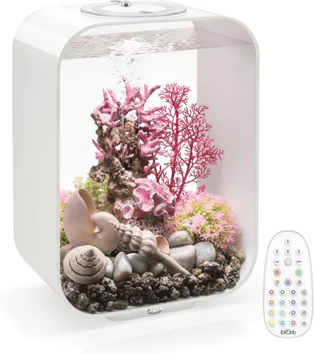 Vista 10 de biOrb Life 15 - Acuario acrílico de 4 galones con luces LED blancas, tanque compacto moderno para mesa o escritorio, negro