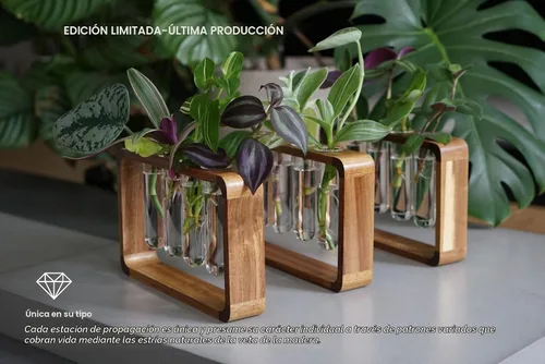 Vista 2 de Source & Plot Estación de propagación de plantas, soporte de madera de acacia con 4 tubos de ensayo de vidrio, estante hidropónico de mesa
