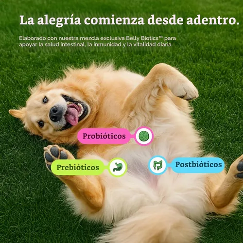 Vista 3 de Get Joy Alimento liofilizado para perros Receta de carne de res con superalimentos para la salud intestinal y la digestión Comida o adorno