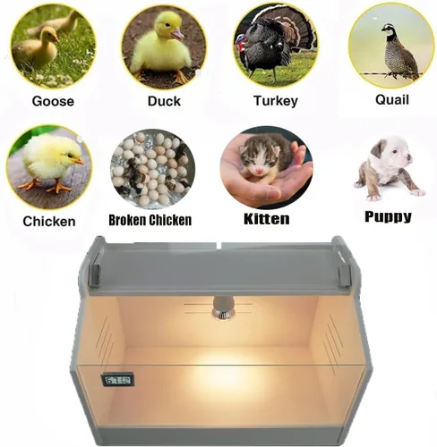 Vista 5 de Caja inteligente para cría 10-15 recién nacidos, pollitos, codorniz, pájaros, animales pequeños, incubadoras manuales, calentador de aves de corral