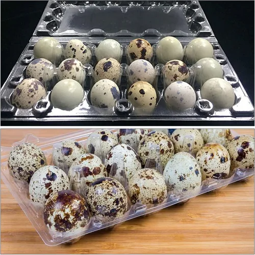 Vista 6 de JAPCHET Paquete de 100 cajas apilables de plástico para huevos, reutilizables, a granel, 18 rejillas, contenedor de huevos de codorniz
