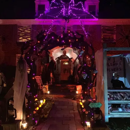 Vista 6 de Dazzle Bright - Guirnalda de luces de hadas de Halloween, 60 luces LED de 20 pies de alambre de cobre a batería y resistente al agua, decoraciones