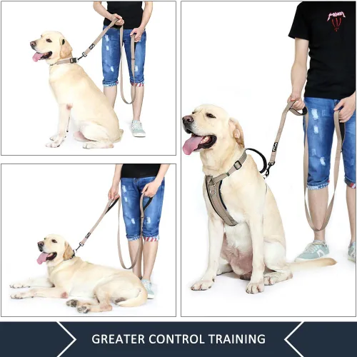Vista 6 de Plutus Pet Correa de perro de doble asa, 4 pies de largo, para perros medianos y grandes Beige