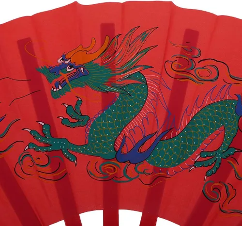 Vista 3 de Forgun Ventilador chino de Kung Fu Tai Chi Artes Marciales Dragón Fénix Plástico Abanicos Plegables Arte Danza Regalo