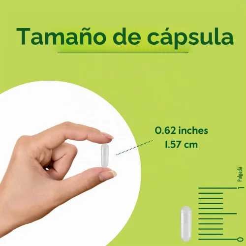 Vista 4 de BESTVITE Pycnogenol 50mg (60 cápsulas) - Extracto de corteza de pino