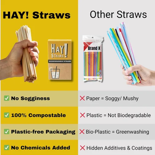 Vista 5 de HAY! Straws Pajitas regulares de 7.75 pulgadas 3000 unidades 100% biodegradables y compostables Duraderas, no se empañan, sin gluten
