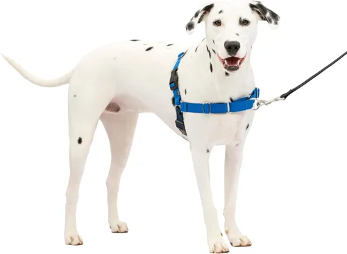 Vista 39 de PetSafe Easy Walk - Arnés para perro, sin tirones, gris carbón Carbón/Negro