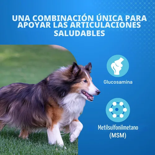 Vista 3 de Nutramax Cosequin Elements - Suplemento de salud articular para perros, contiene glucosamina para perros, MSM, apoya articulaciones saludables