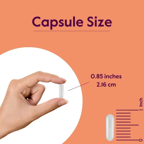 Vista 4 de BESTVITE L-Glutamina 500mg por cápsula (240 cápsulas) - Sin fosfato dicálcico - Sin estearatos - Sin OMG - Sin gluten - Apoyo a la salud intestinal