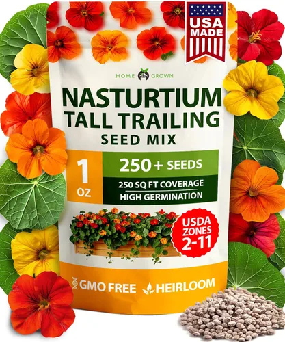 Vista 13 de HOME GROWN Semillas de zinnia rosa – 300 zinnias Luminosa 0.5g, semillas anuales de flores fáciles de cultivar para plantar al aire libre para 2026