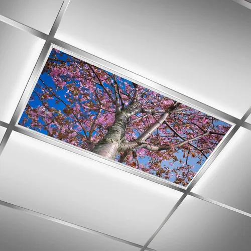 Vista 40 de Inserto de Cubierta de Luz de Techo Suspendido 4' x 2' pies (Naturaleza Bosque Hojas de Bambú Sol Verde) - Cubierta de Luz Fluorescente Reduce