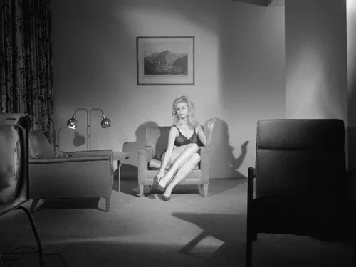 Vista 2 de Michael Findlay's "Flesh" Trilogy Set