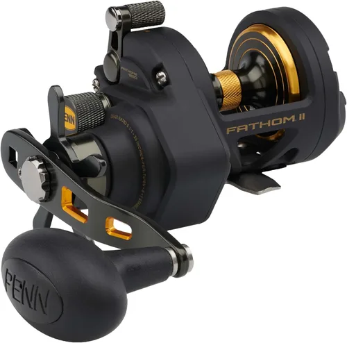 Vista 4 de Penn Fathom II Star Drag - Carrete de pesca convencional, oro negro, 25N