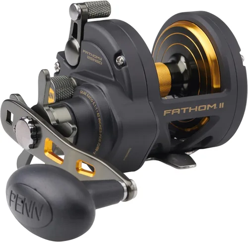 Vista 8 de Penn Fathom II Star Drag - Carrete de pesca convencional, oro negro, 25N